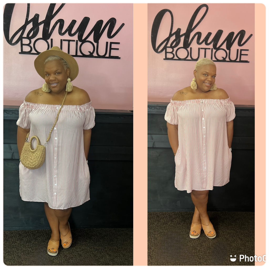 Picnic In The Park Dress